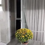 Appartement Viliamsa Odessa