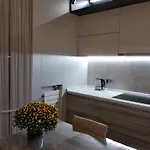 Διαμέρισμα Viliamsa Οδησσός